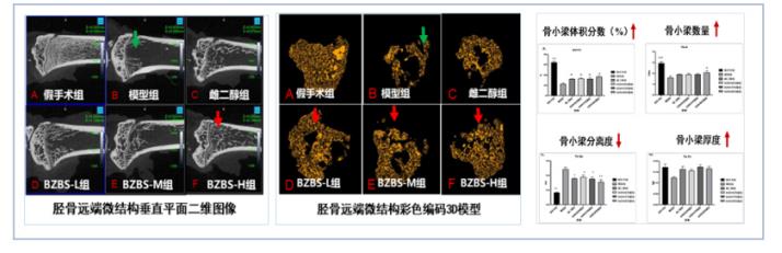 抗衰，如何讓人體“長壽基因”充滿活力