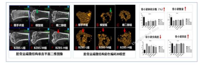 以嶺藥業(yè)八子補(bǔ)腎膠囊抗衰老研究取得重大進(jìn)展