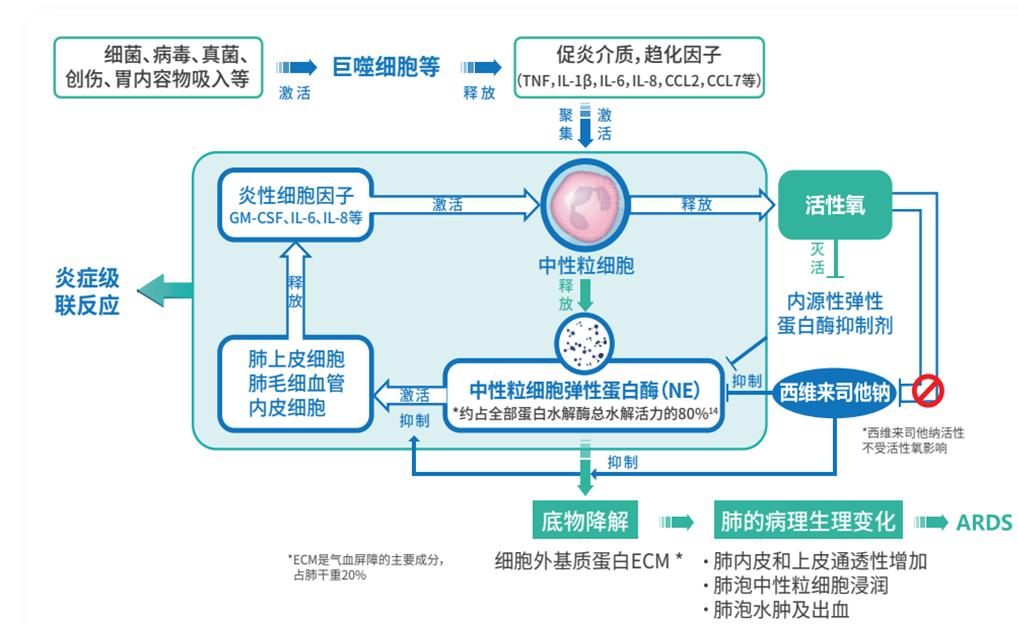 加快ICU床位周轉(zhuǎn)，提高ICU收患效率