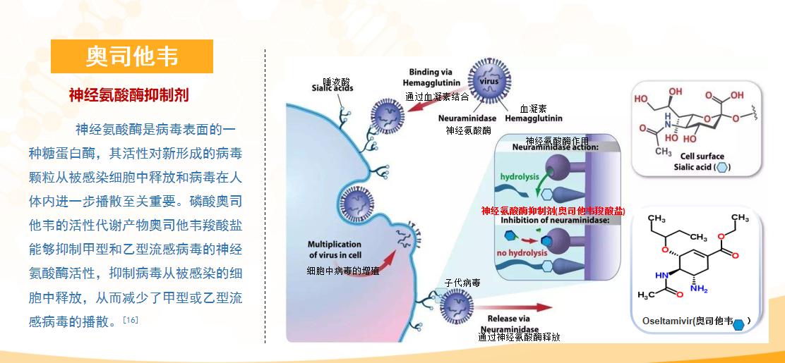 全身疼痛乏力高熱的原因原來是它！