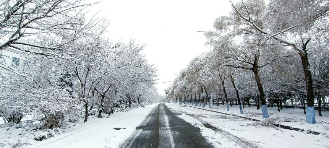 東北迎兇猛初雪，凍瘡多發(fā)期來(lái)到，京萬(wàn)紅告訴你預(yù)防要這樣做