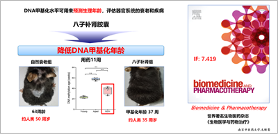 吳以嶺院士首次構建氣絡學說精氣神理論并指導抗衰老 研究取得重大突破