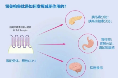 唐朝以肥為美？這是個誤會！ 體重與情緒的雙重管理：烏靈膠囊助力司美格魯肽的減重之旅